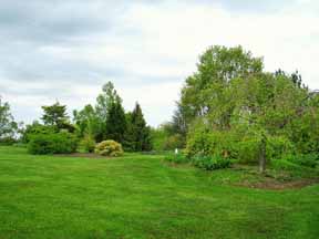 lawn garden