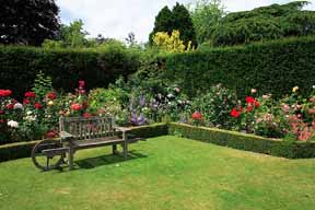 lawns
