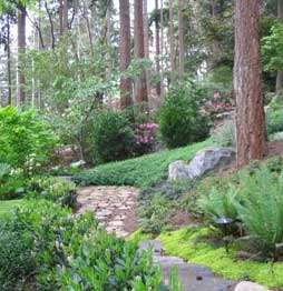 Steep Hillside Landscaping