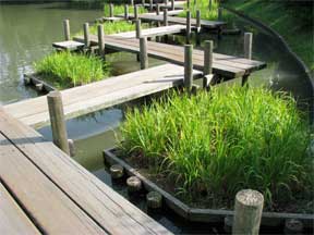 designs take landscapes into many different looks