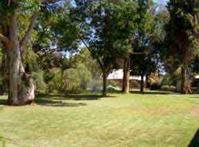 lawns need some rehab for time to time