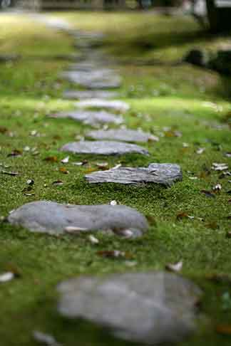 natural stones used as a landscape pathway