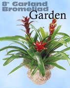 Bromeliad Garden – Year Round Long Lasting Color – Inside