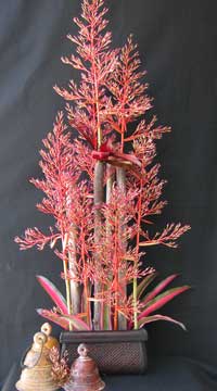 bromeliad_flower_arrange.jpg
