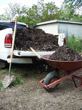 Garden soil can always use more organic material