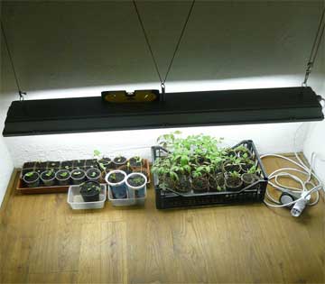 Homemade Grow Light 39