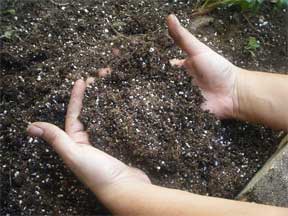 potted soil ready for use