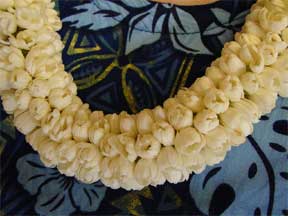 Hawaiian lei made from Jasminum sambac flowers