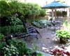 Landscape backyard patio
