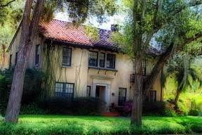 mature trees in the home landscape