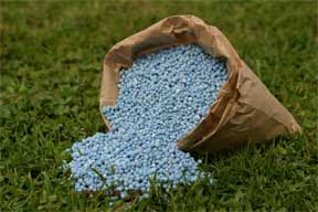 Open bag of fertilizer ready to feed to lawn