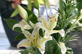 lilies used in flower arrangement