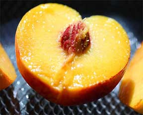 home grown Georgia peach