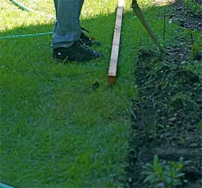 from landscape design plan to planting