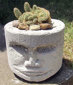 potted head with brain cactus
