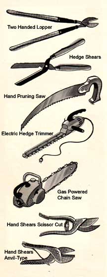 pruning tools like the two handed lopper hedge shears and hard shears like corona make pruning easier