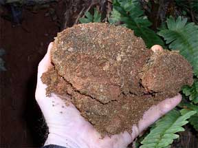 soil ready for testing