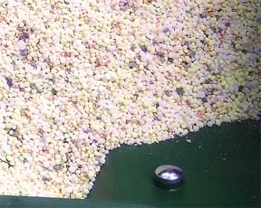 urea for nitrogen slow feed