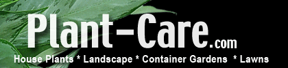 Landscape House Plants Lawn Care